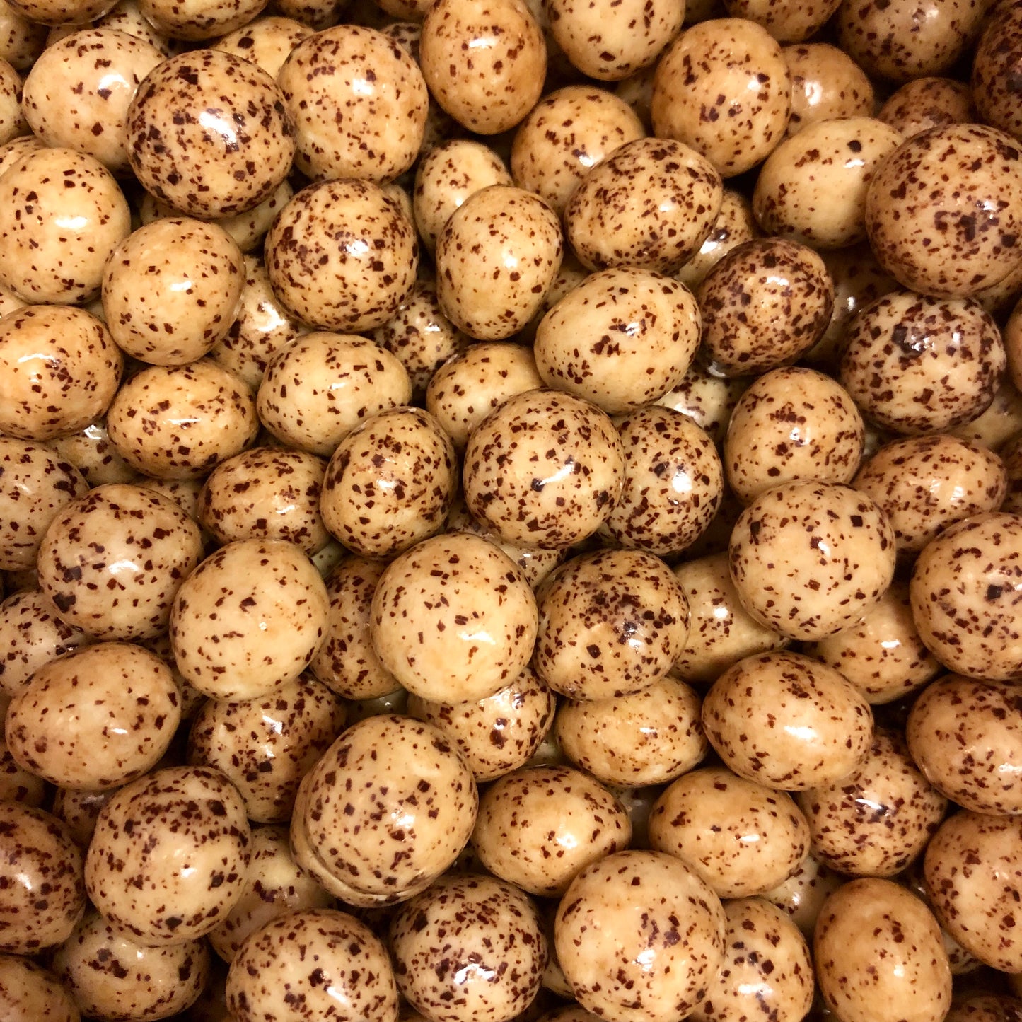 Saltlakrits / Vit Choklad + Stracciatella